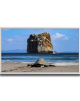 Tortuga en Peña Bruja