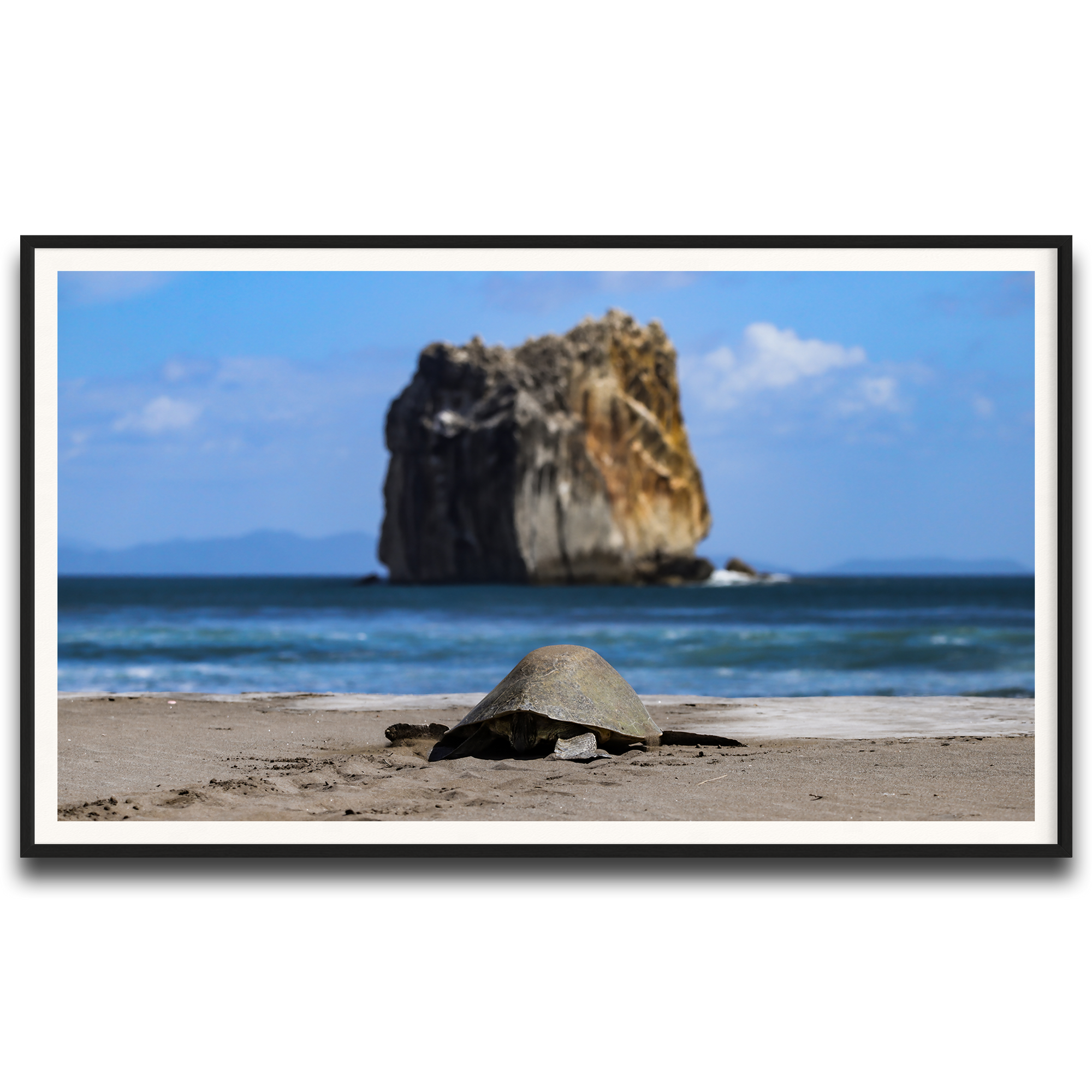 Tortuga en Peña Bruja