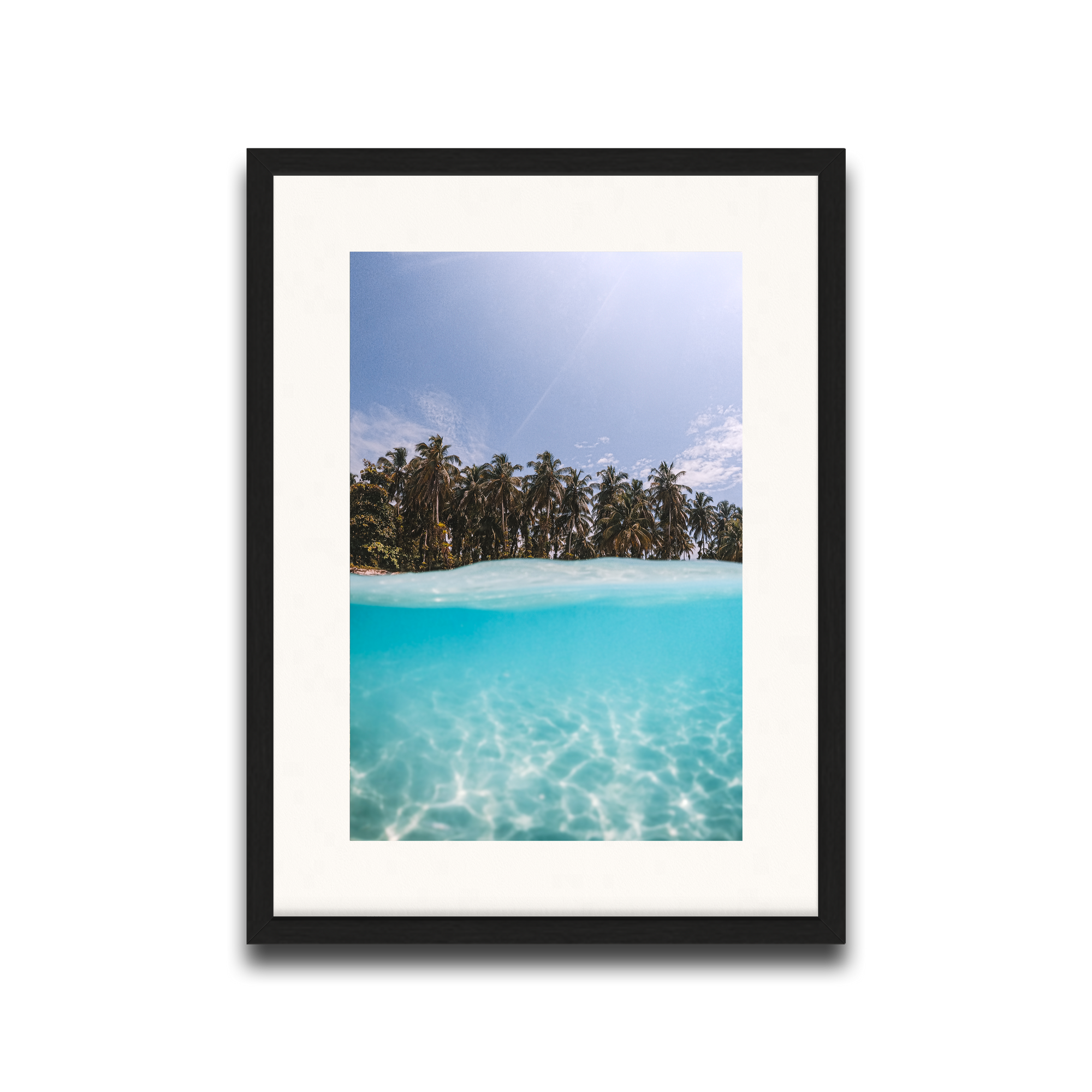 The Tropics