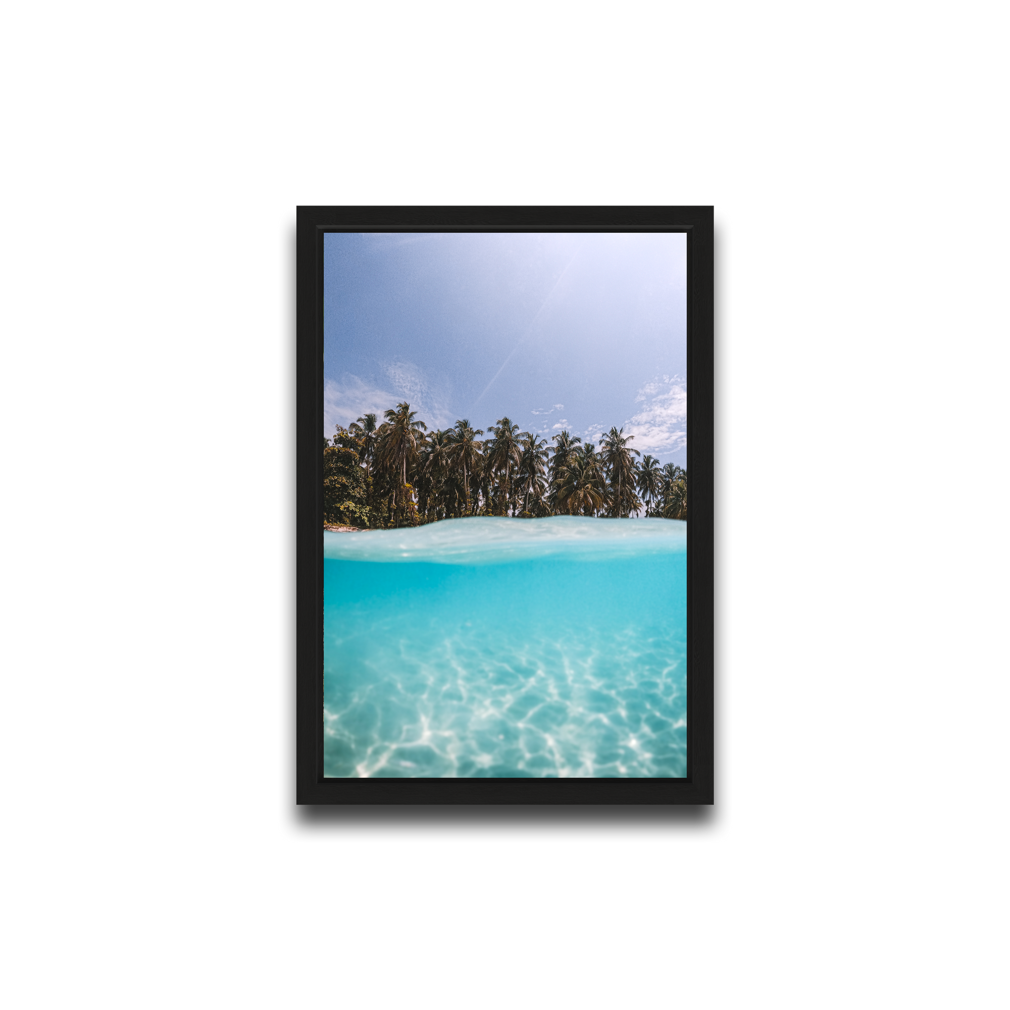 The Tropics