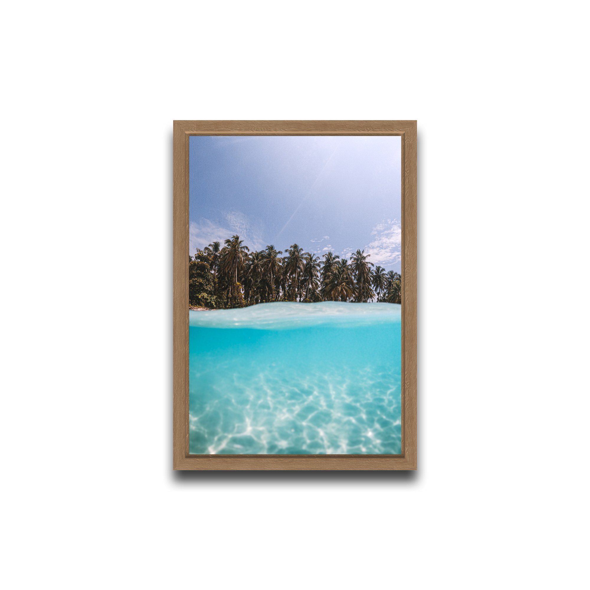 The Tropics