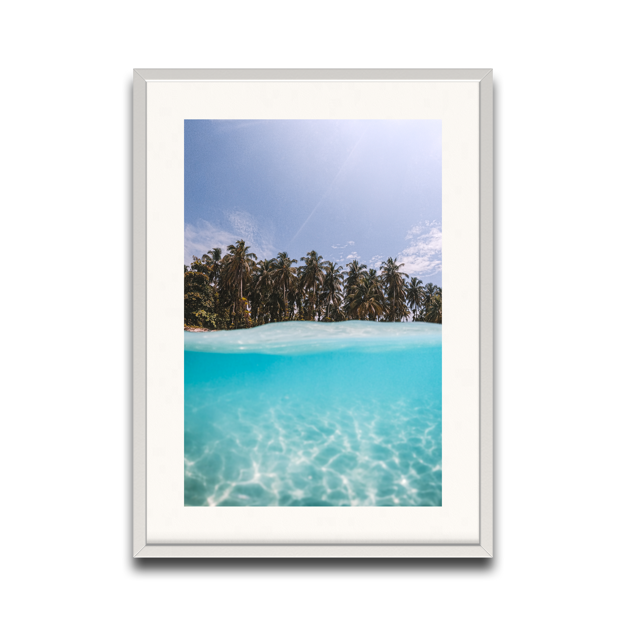 The Tropics