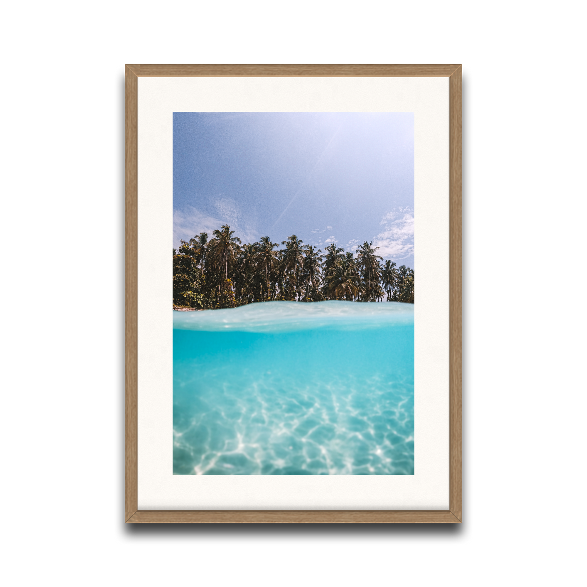 The Tropics