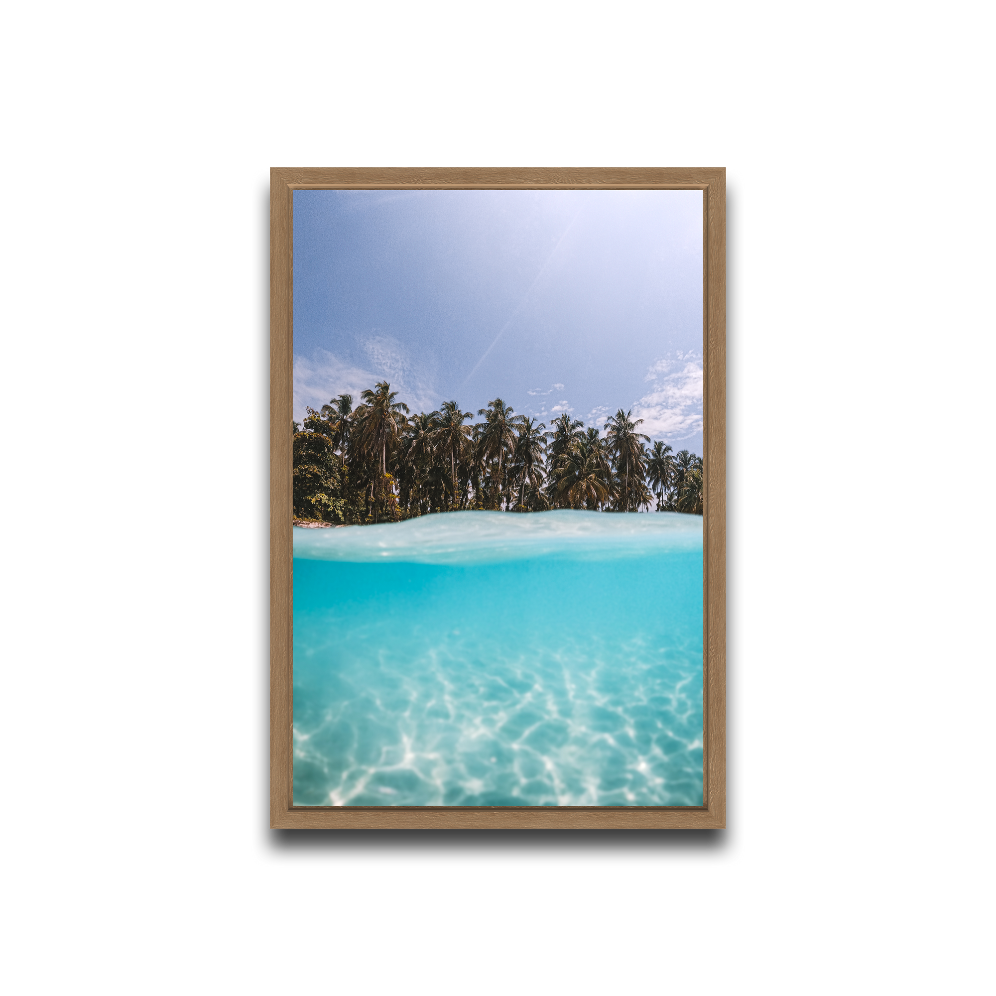 The Tropics