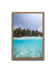 The Tropics