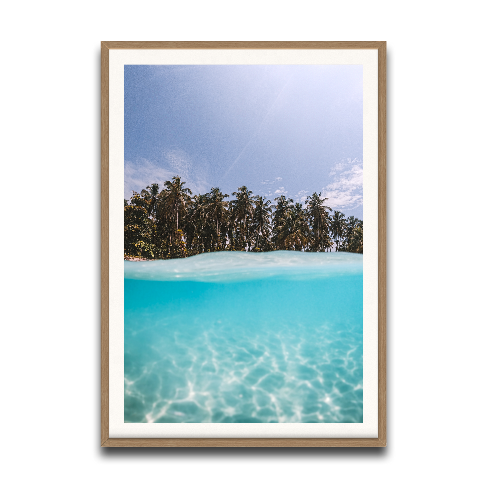 The Tropics