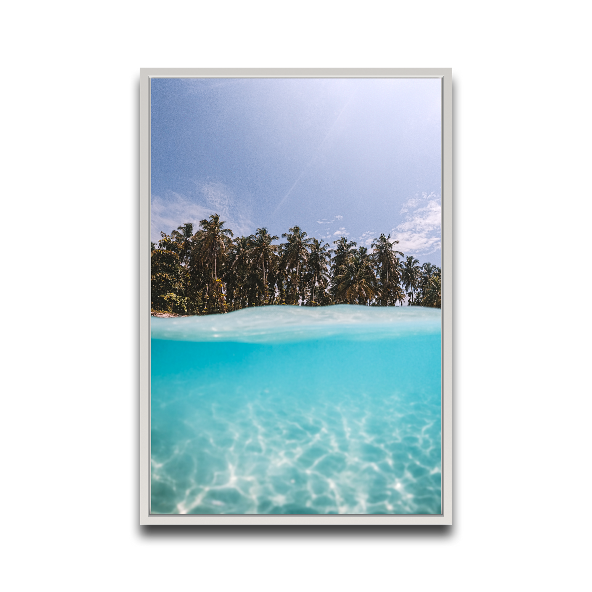 The Tropics