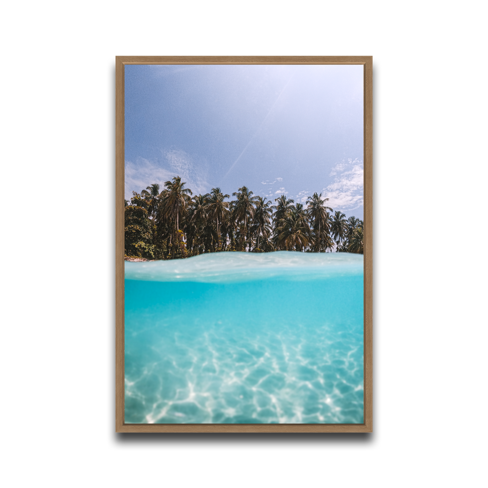 The Tropics