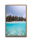 The Tropics