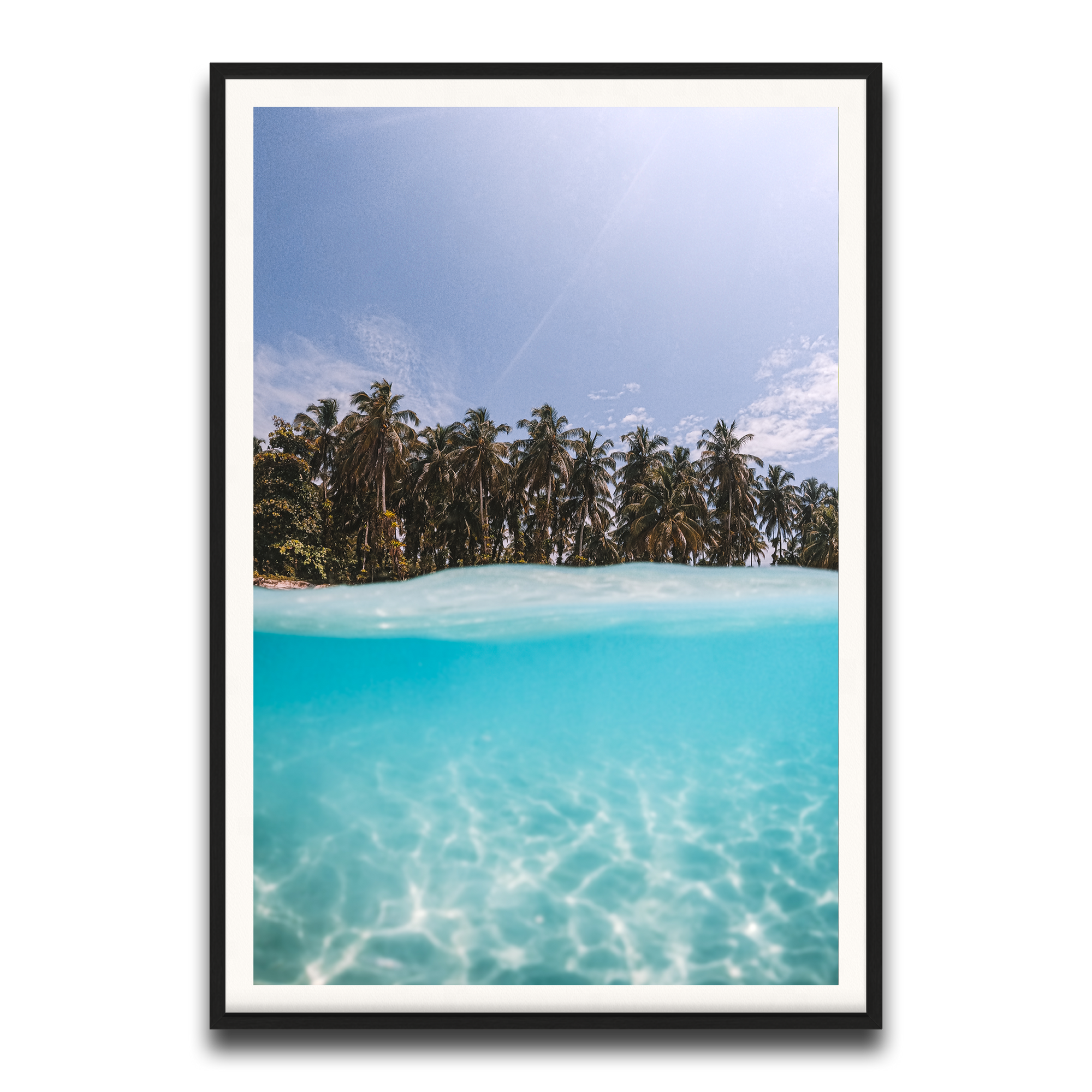 The Tropics