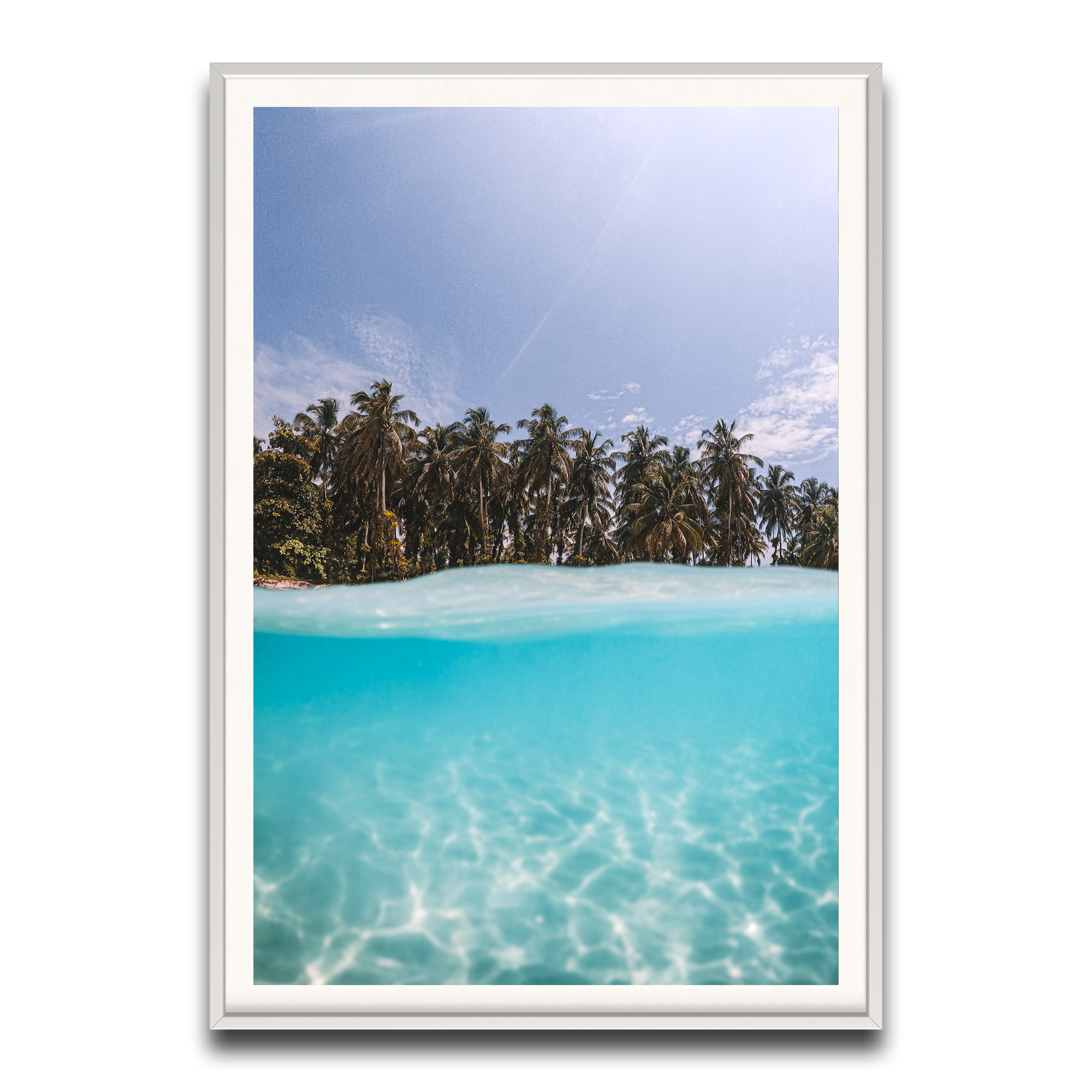 The Tropics