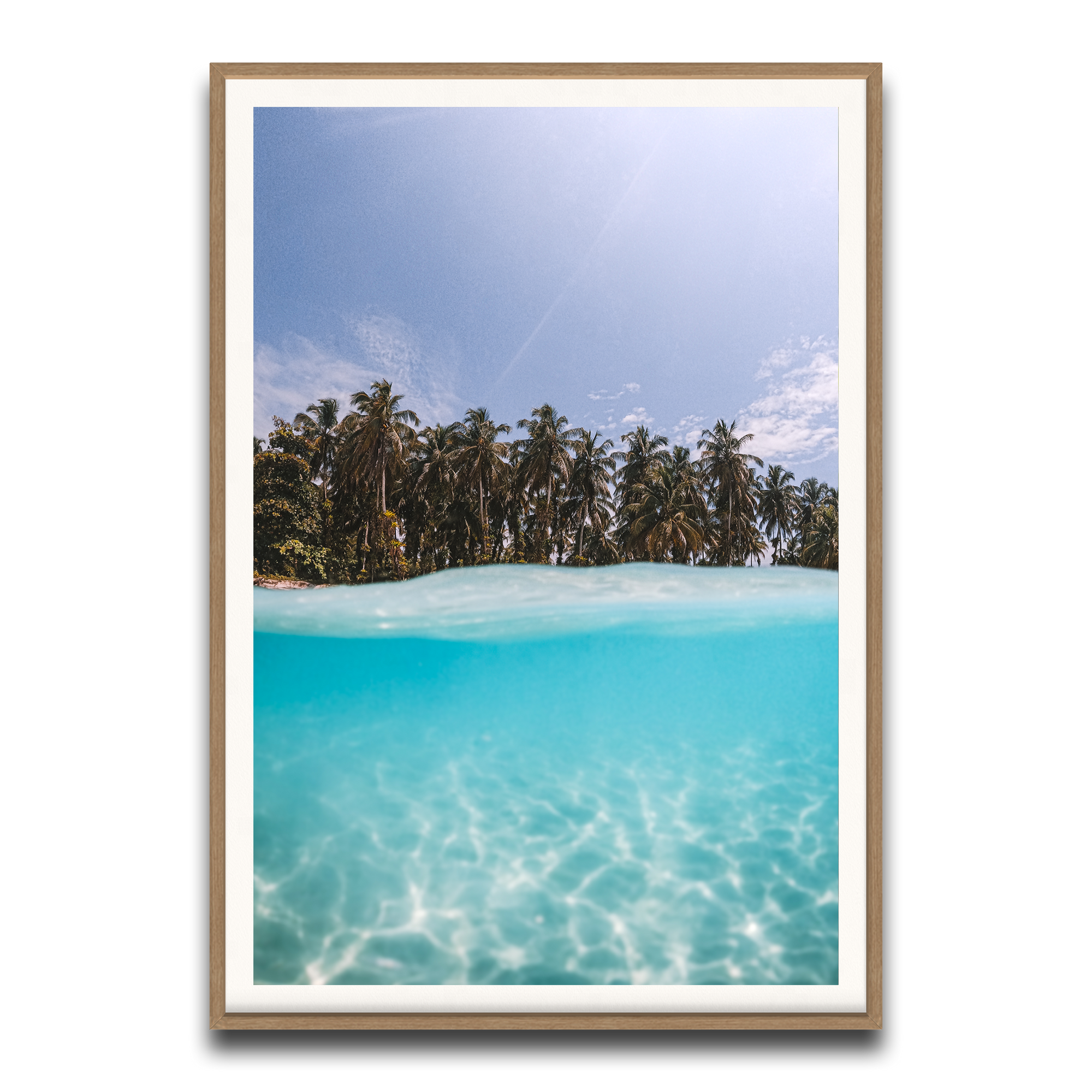 The Tropics