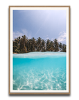 The Tropics
