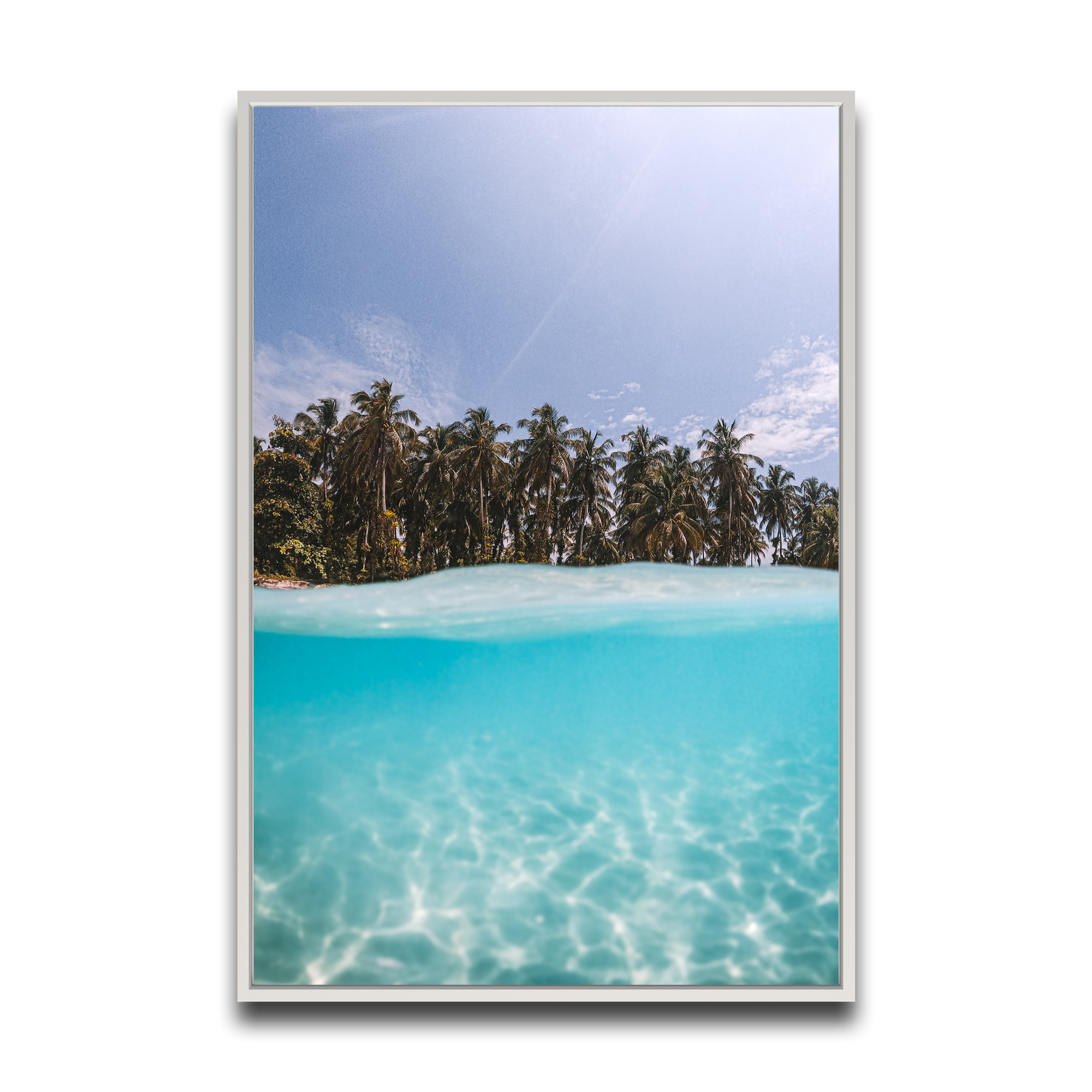 The Tropics