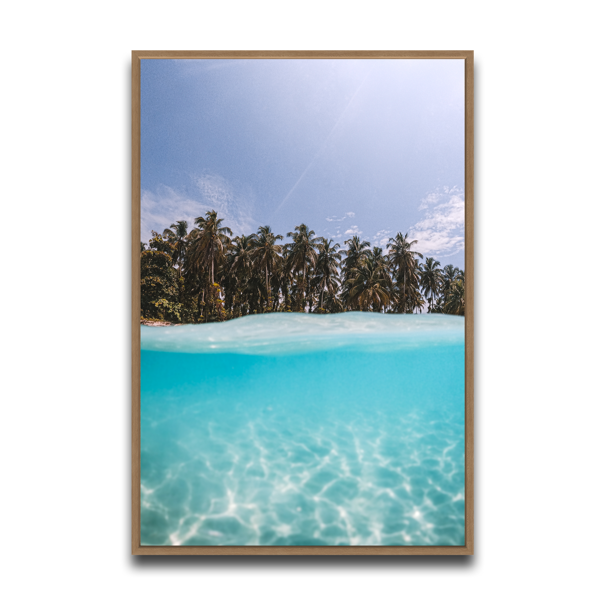 The Tropics