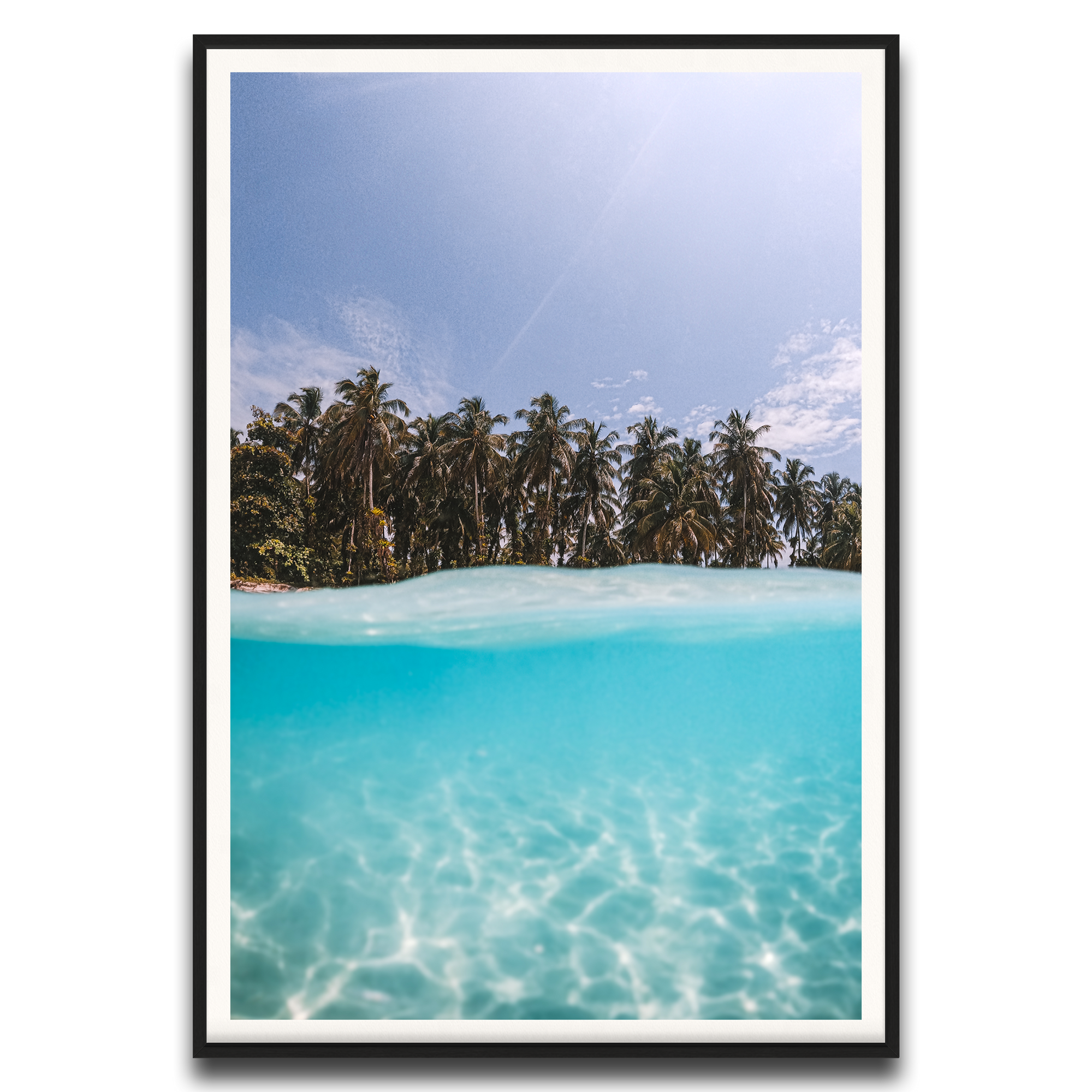 The Tropics