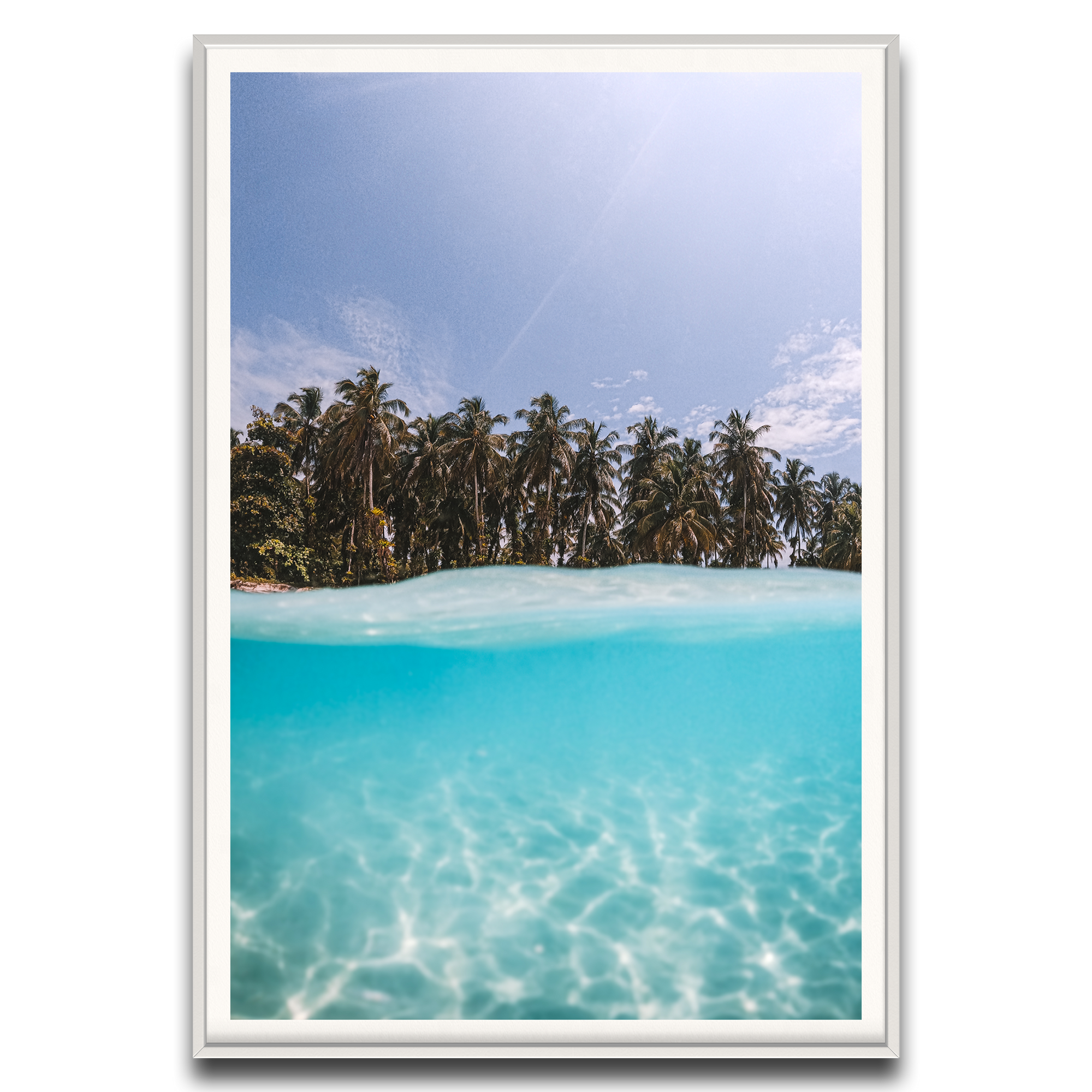 The Tropics