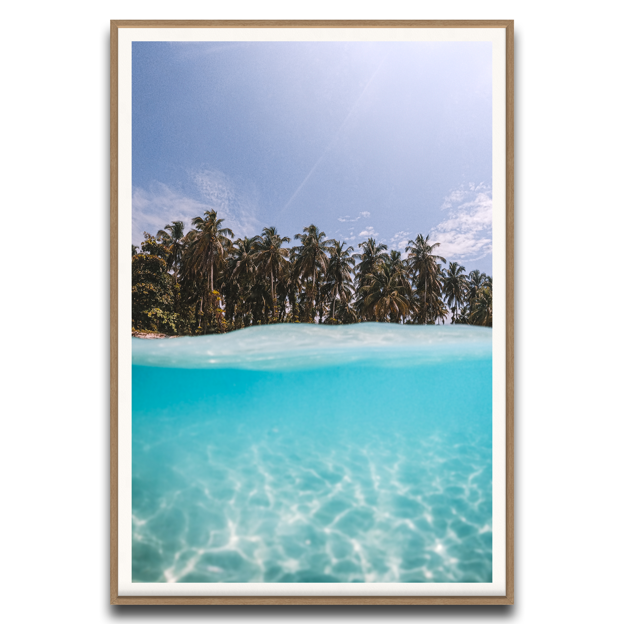 The Tropics