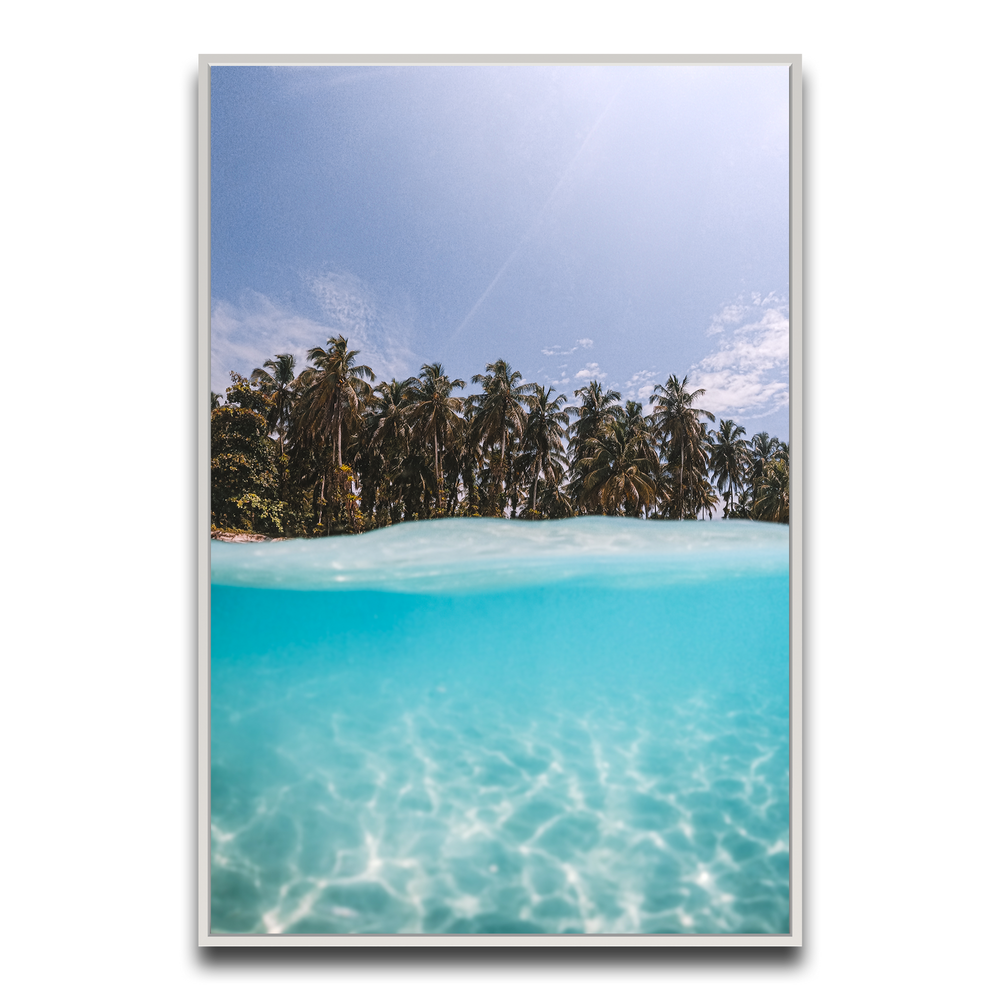 The Tropics