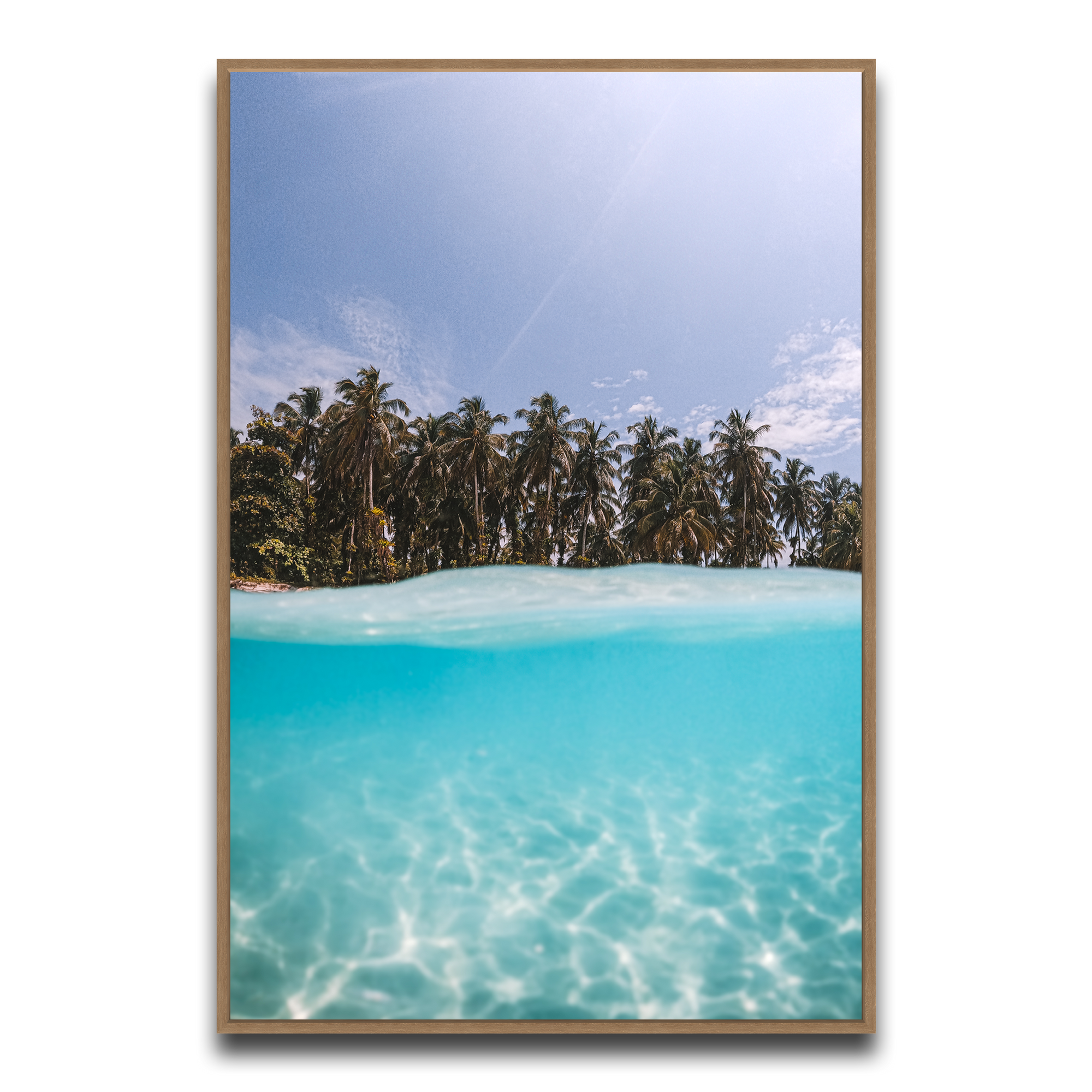 The Tropics