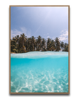 The Tropics