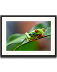 The Vibrant Hopper