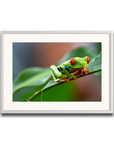 The Vibrant Hopper