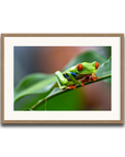 The Vibrant Hopper
