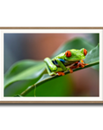 The Vibrant Hopper