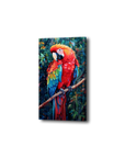 A Macaw’s Reverie