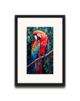 A Macaw’s Reverie