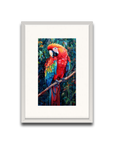 A Macaw’s Reverie