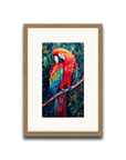 A Macaw’s Reverie