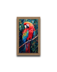 A Macaw’s Reverie