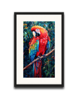 A Macaw’s Reverie