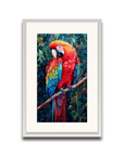 A Macaw’s Reverie