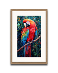 A Macaw’s Reverie