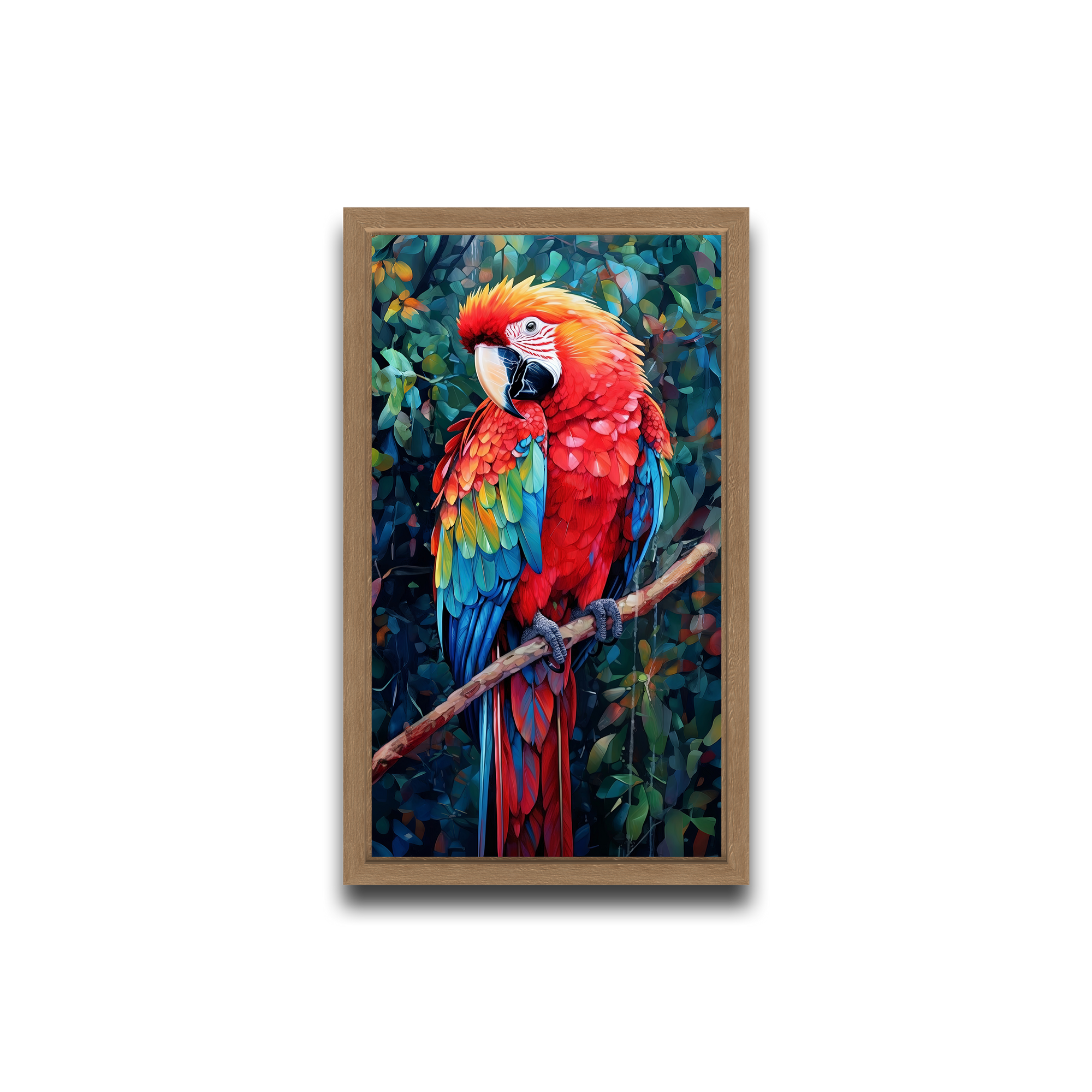 A Macaw’s Reverie