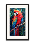 A Macaw’s Reverie