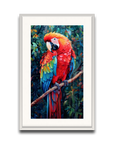 A Macaw’s Reverie