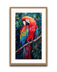 A Macaw’s Reverie