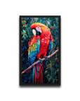 A Macaw’s Reverie