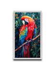 A Macaw’s Reverie