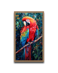 A Macaw’s Reverie