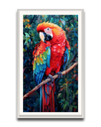 A Macaw’s Reverie