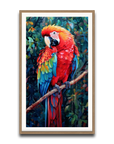 A Macaw’s Reverie