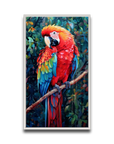 A Macaw’s Reverie