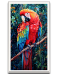 A Macaw’s Reverie