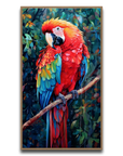 A Macaw’s Reverie